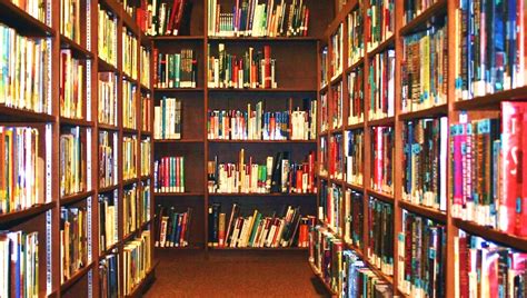 How Many Books Is a Library: An Insightful Discussion