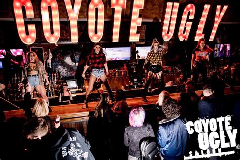 song from coyote ugly when they dance on bar: What if the rhythm of life is as unpredictable as the coyote’s dance?